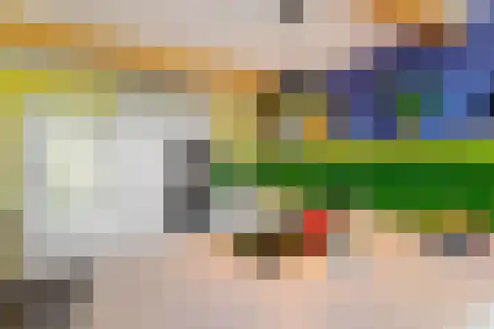 Uiterburen 6 Zuidbroek thumbnail 20