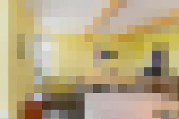 Uiterburen 6 Zuidbroek thumbnail 22