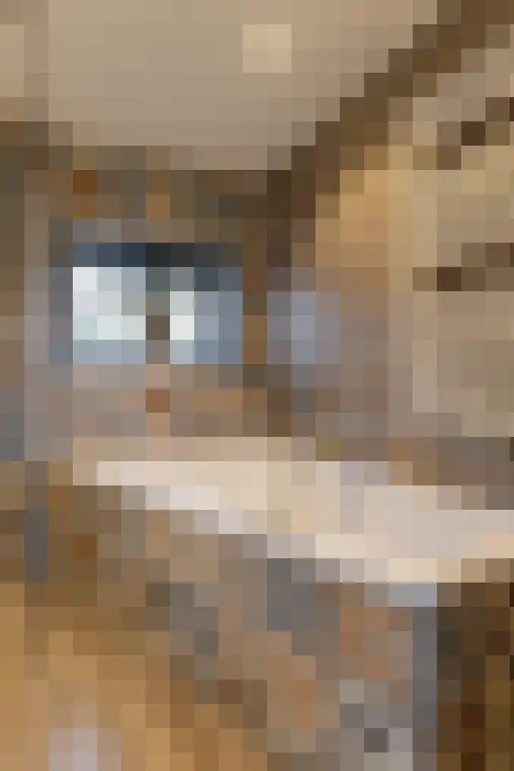 Uiterburen 6 Zuidbroek thumbnail 31