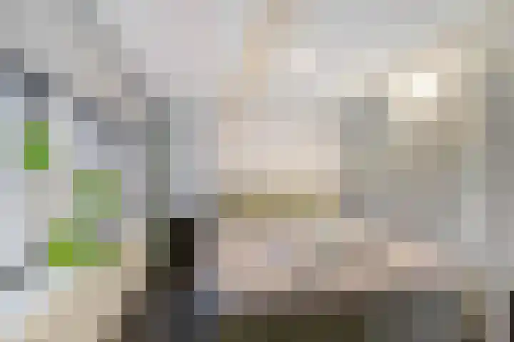 Uiterburen 6 Zuidbroek thumbnail 34