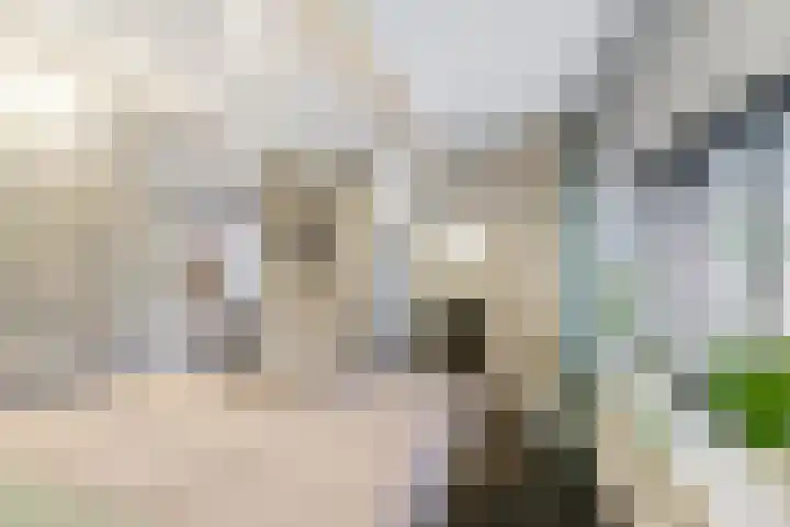 Uiterburen 6 Zuidbroek thumbnail 35