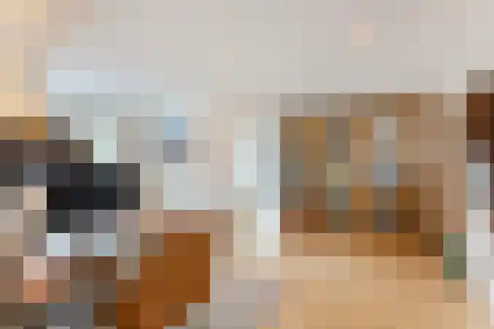 Uiterburen 6 Zuidbroek thumbnail 36