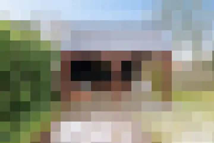Uiterburen 6 Zuidbroek thumbnail 46