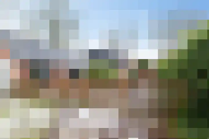 Uiterburen 6 Zuidbroek thumbnail 52