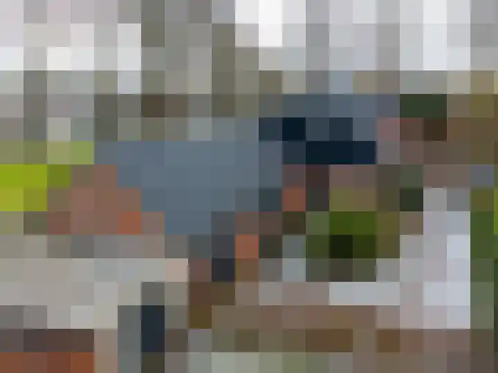 Uiterburen 6 Zuidbroek thumbnail 53