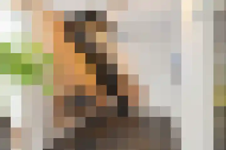 Uiterburen 6 Zuidbroek thumbnail 54