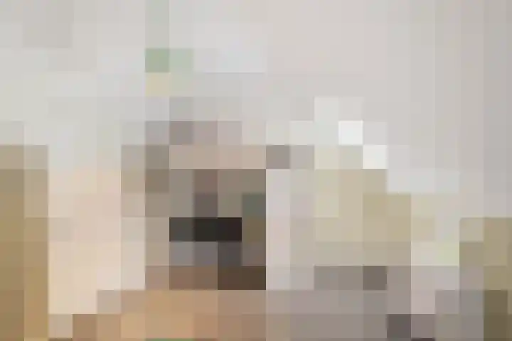 Uiterburen 6 Zuidbroek thumbnail 57