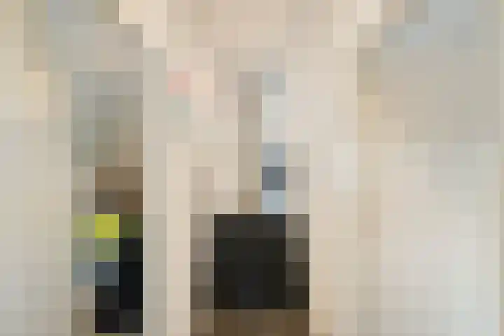 Uiterburen 6 Zuidbroek thumbnail 62