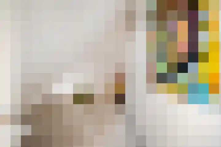 Uiterburen 6 Zuidbroek thumbnail 66