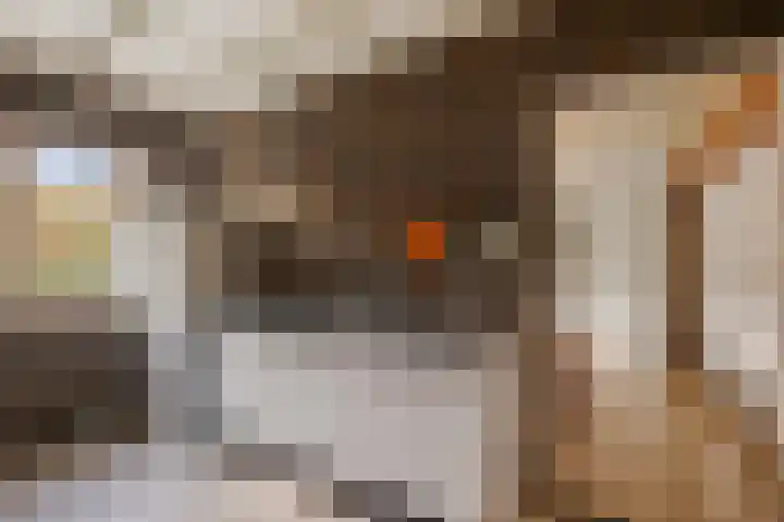 Uiterburen 64 Zuidbroek thumbnail 16