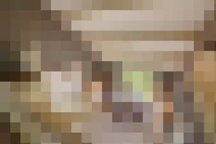 Uiterburen 64 Zuidbroek thumbnail 33