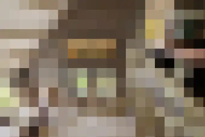 Uiterburen 64 Zuidbroek thumbnail 34