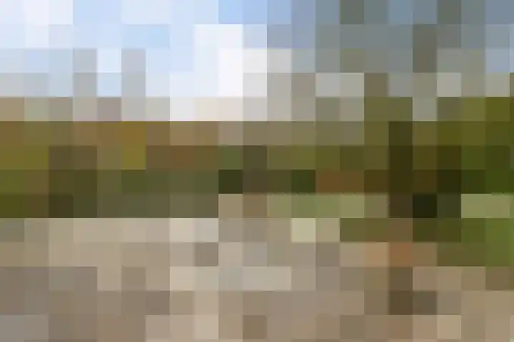 Uiterburen 64 Zuidbroek thumbnail 35