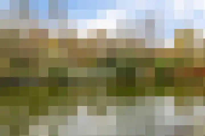 Uiterburen 64 Zuidbroek thumbnail 36
