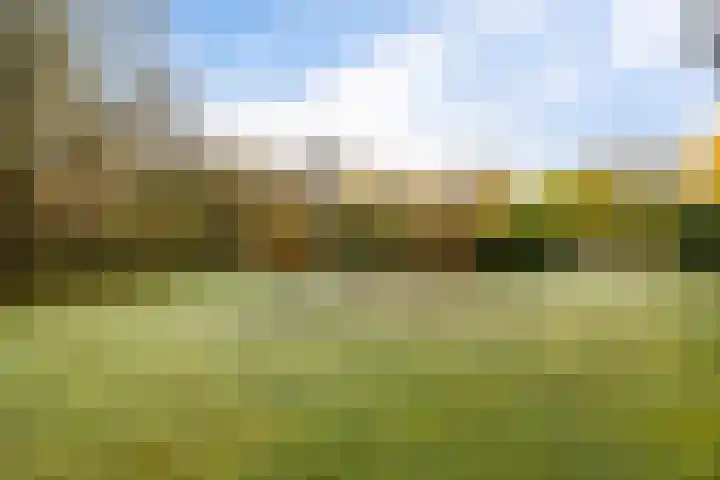 Uiterburen 64 Zuidbroek thumbnail 38