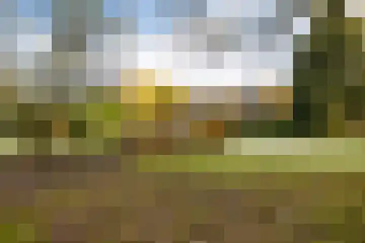 Uiterburen 64 Zuidbroek thumbnail 39