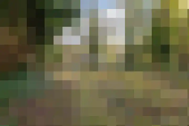 Uiterburen 64 Zuidbroek thumbnail 4