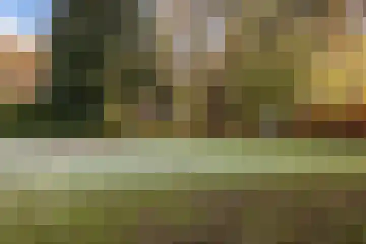 Uiterburen 64 Zuidbroek thumbnail 40