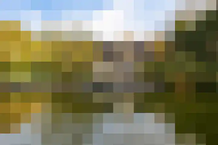 Uiterburen 64 Zuidbroek thumbnail 41