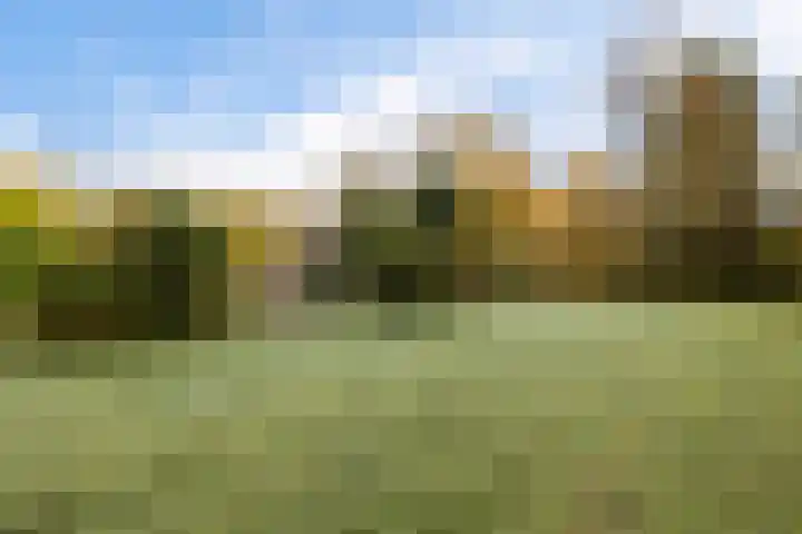 Uiterburen 64 Zuidbroek thumbnail 42