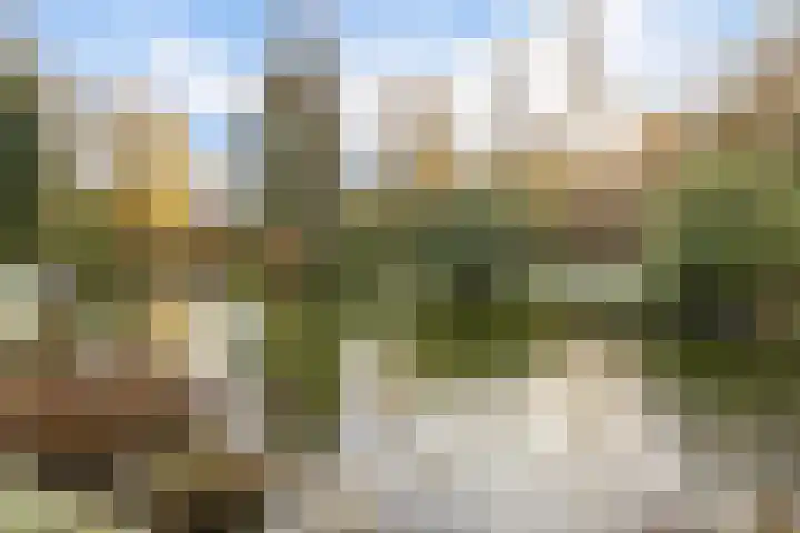 Uiterburen 64 Zuidbroek thumbnail 43