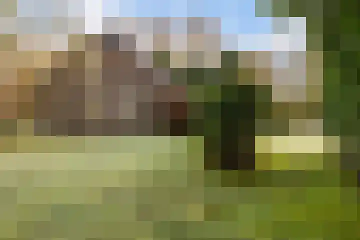 Uiterburen 64 Zuidbroek thumbnail 44
