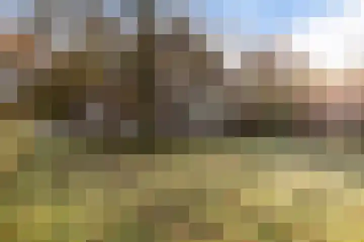 Uiterburen 64 Zuidbroek thumbnail 45