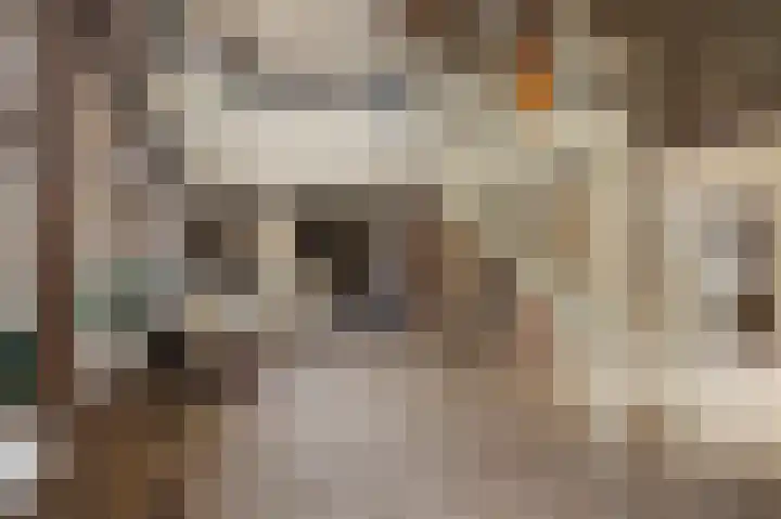 Uiterburen 64 Zuidbroek thumbnail 9