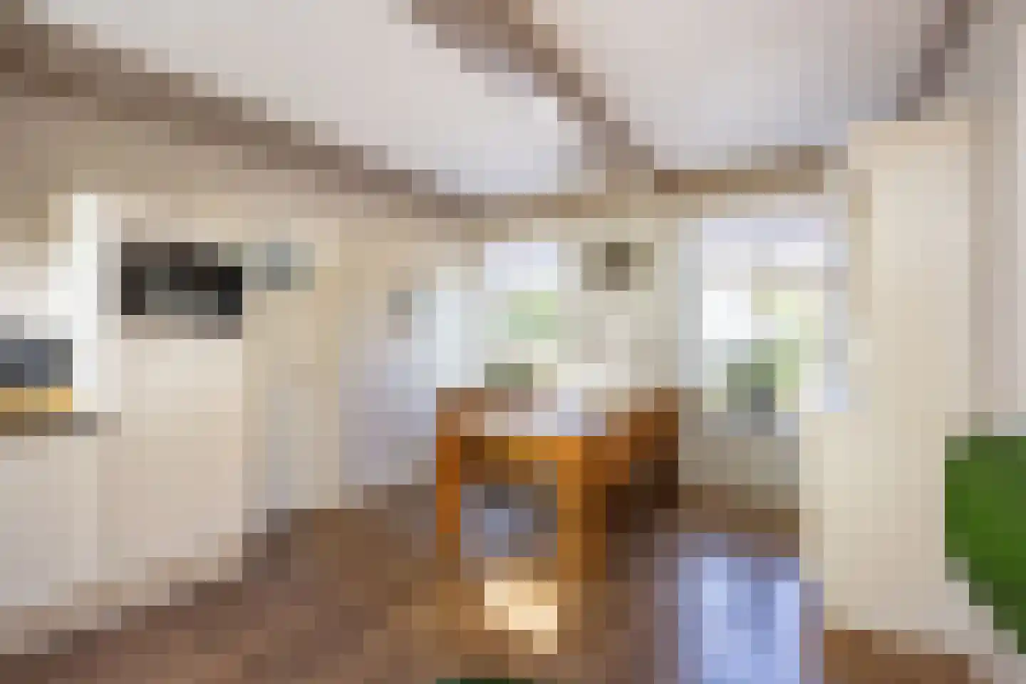 Uiterdijk 13 Onderdendam thumbnail 37