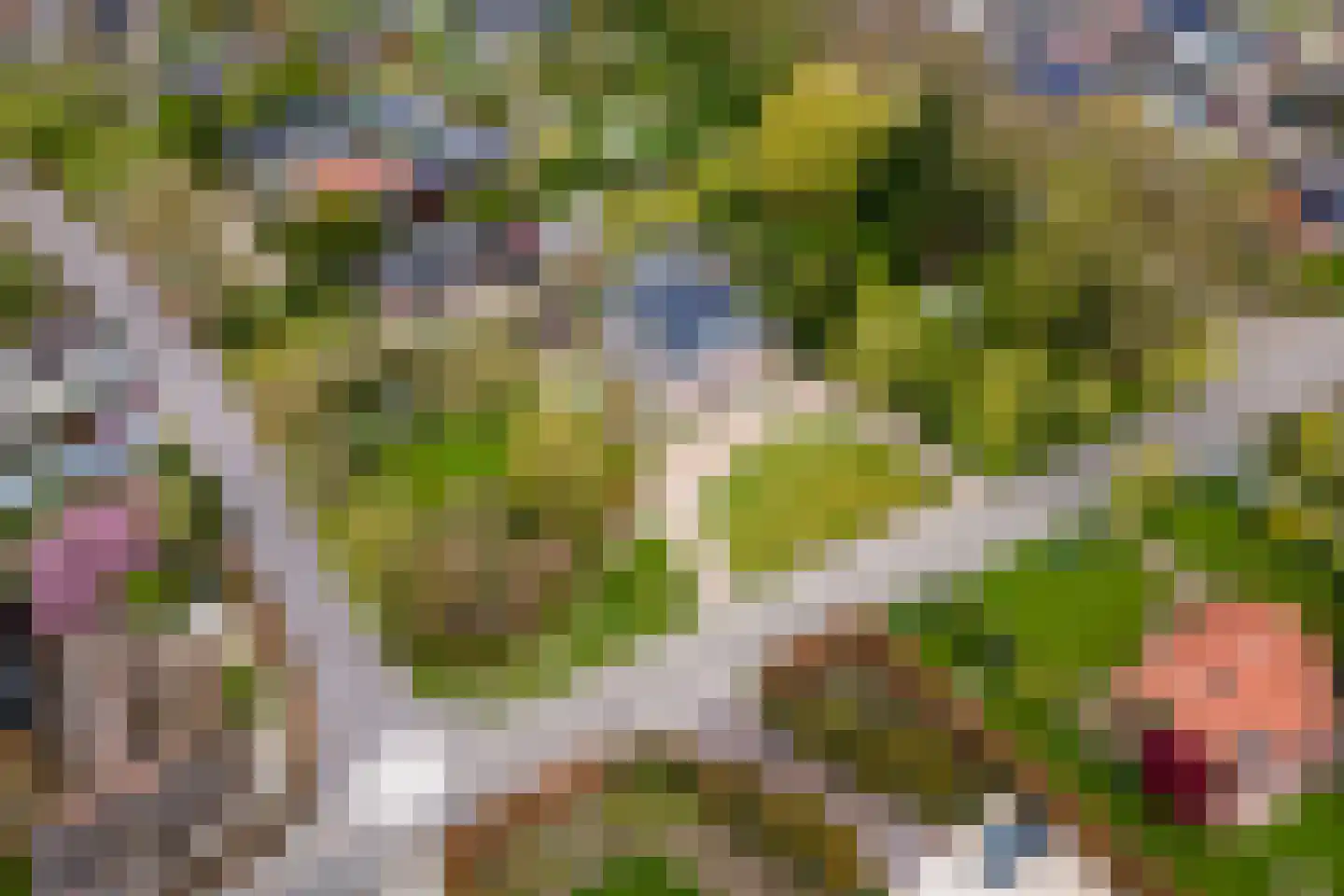 Uiterdijk 15 Zoelen thumbnail 100