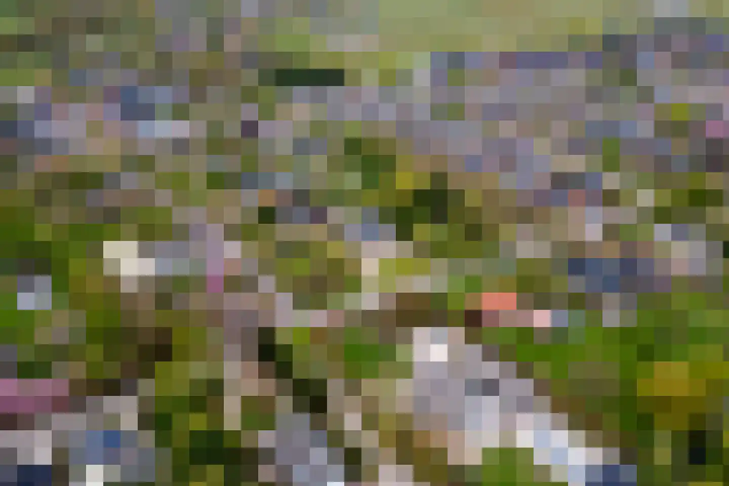 Uiterdijk 15 Zoelen thumbnail 101