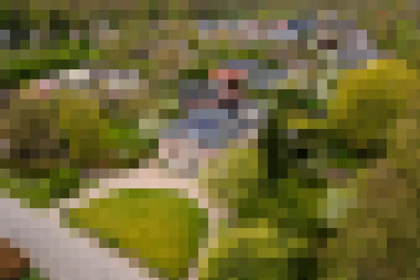 Uiterdijk 15 Zoelen thumbnail 102