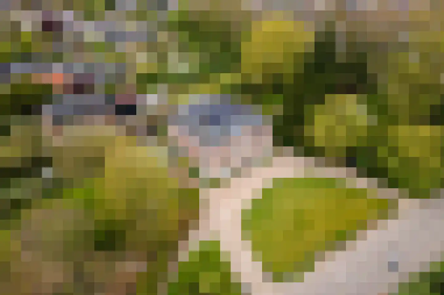 Uiterdijk 15 Zoelen thumbnail 103