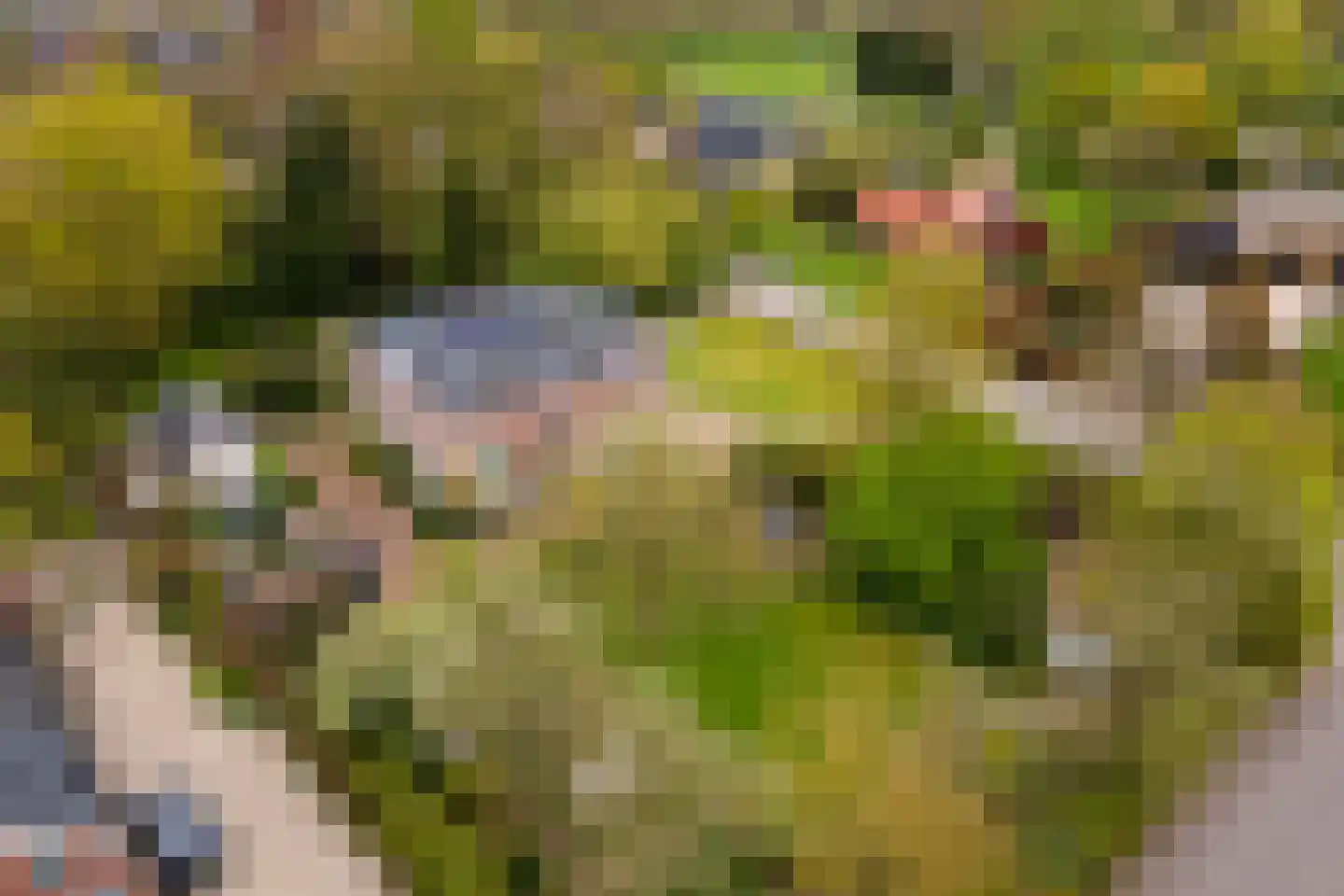Uiterdijk 15 Zoelen thumbnail 104