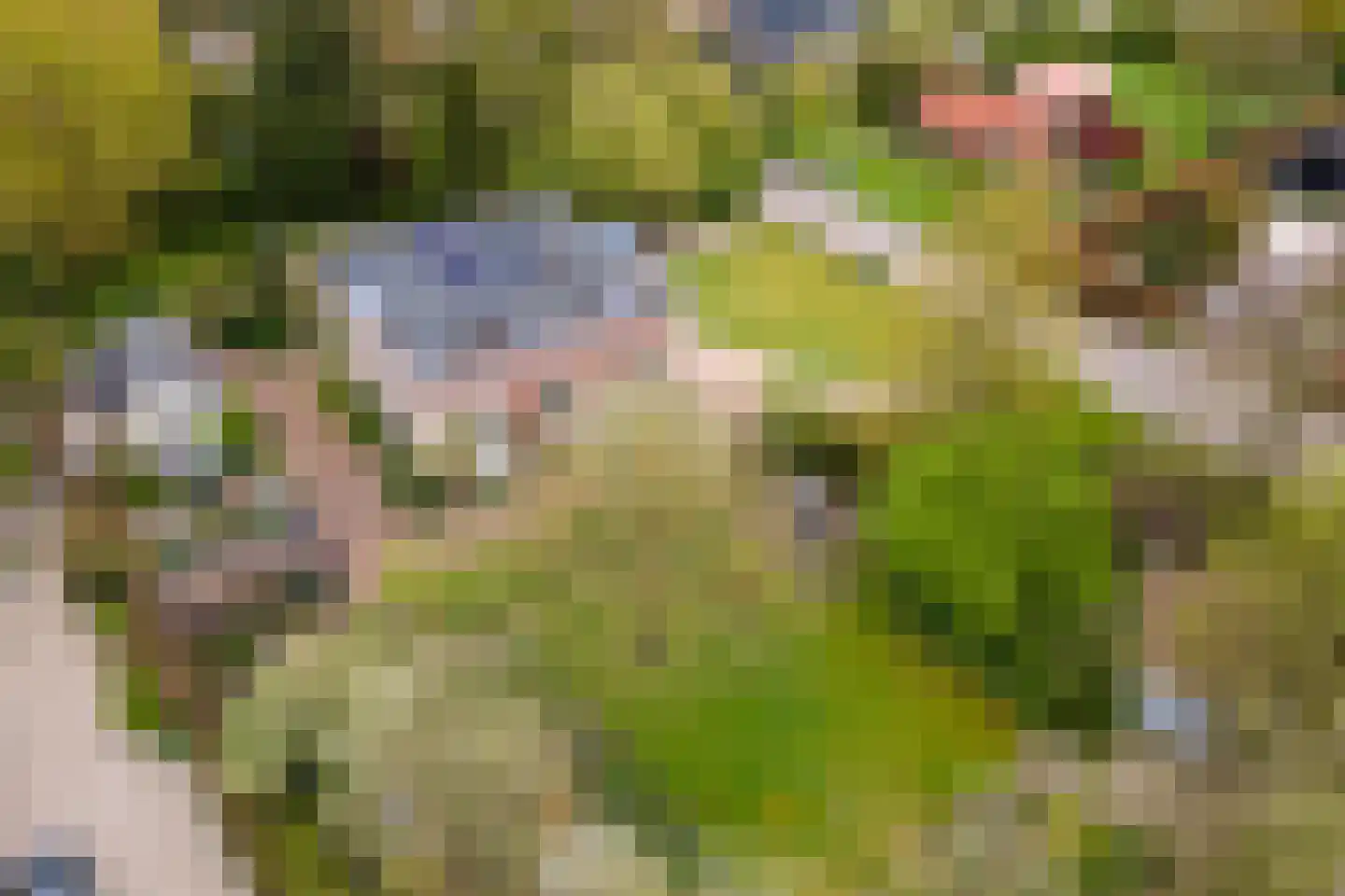 Uiterdijk 15 Zoelen thumbnail 105