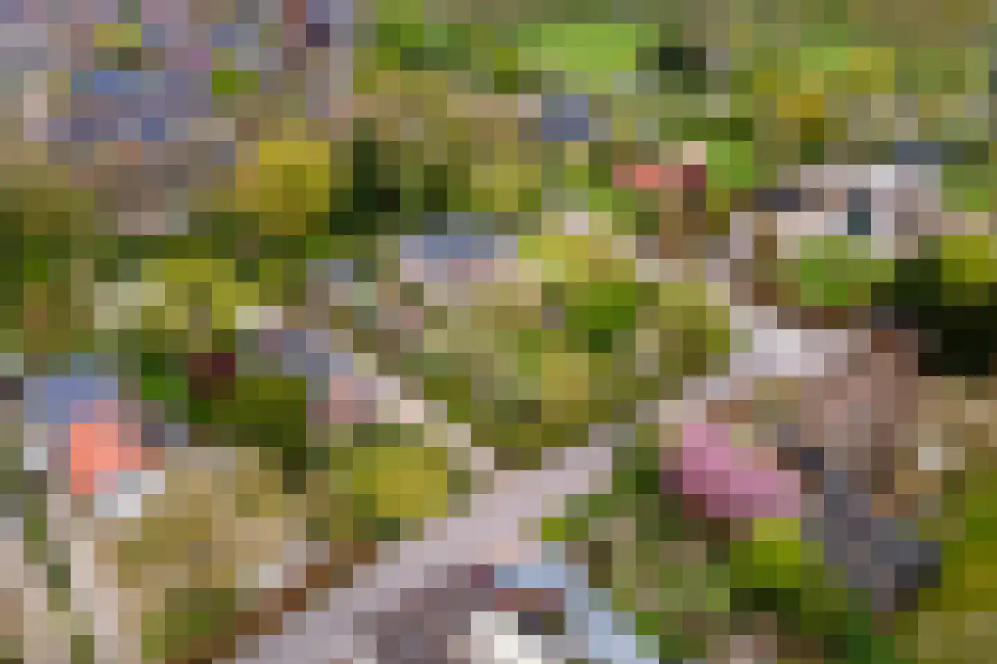Uiterdijk 15 Zoelen thumbnail 106