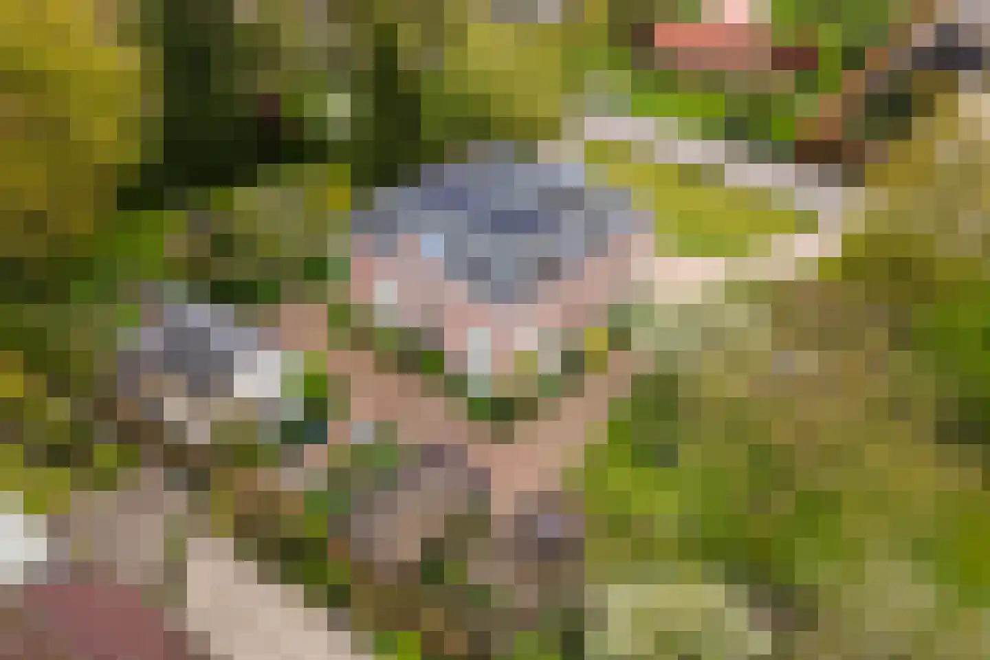 Uiterdijk 15 Zoelen thumbnail 107