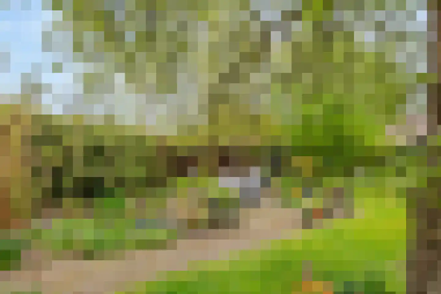 Uiterdijk 15 Zoelen thumbnail 14