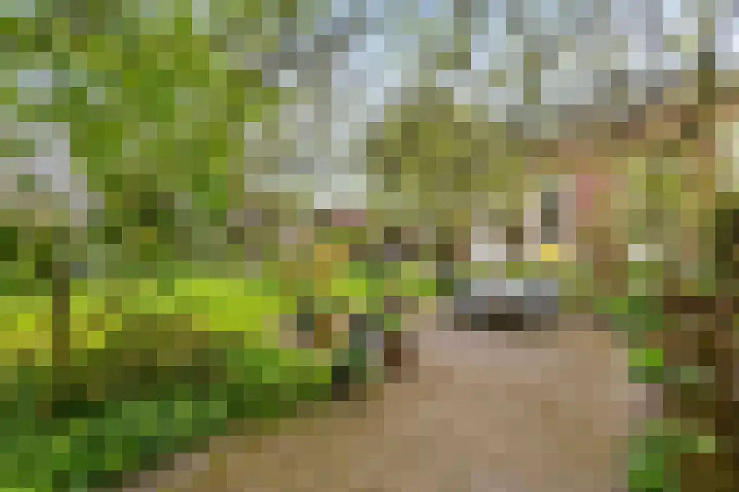 Uiterdijk 15 Zoelen thumbnail 15