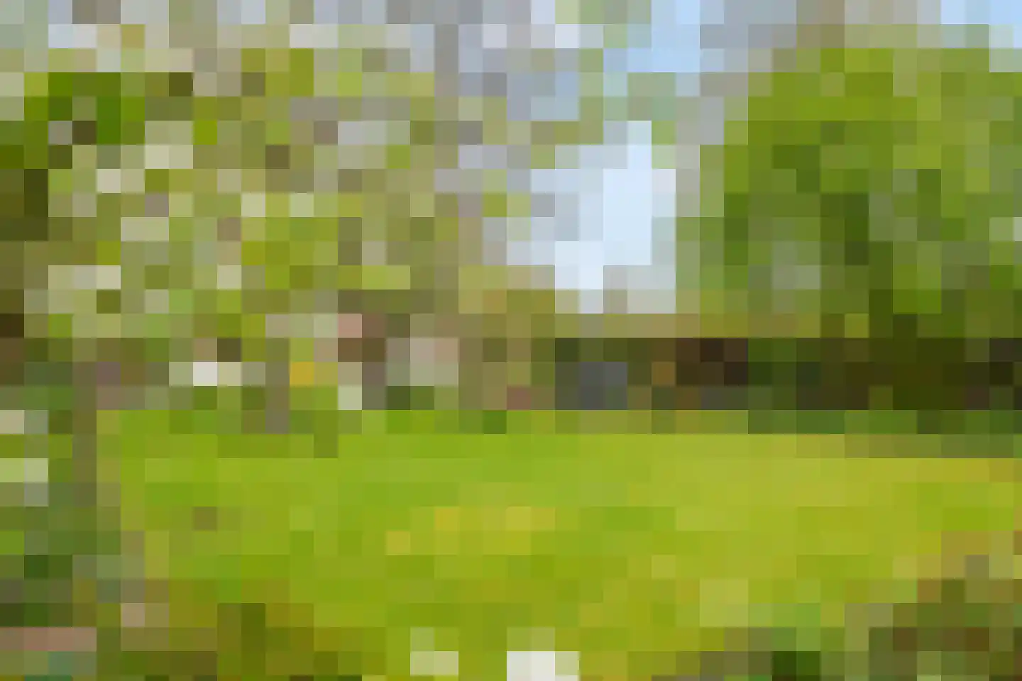 Uiterdijk 15 Zoelen thumbnail 18
