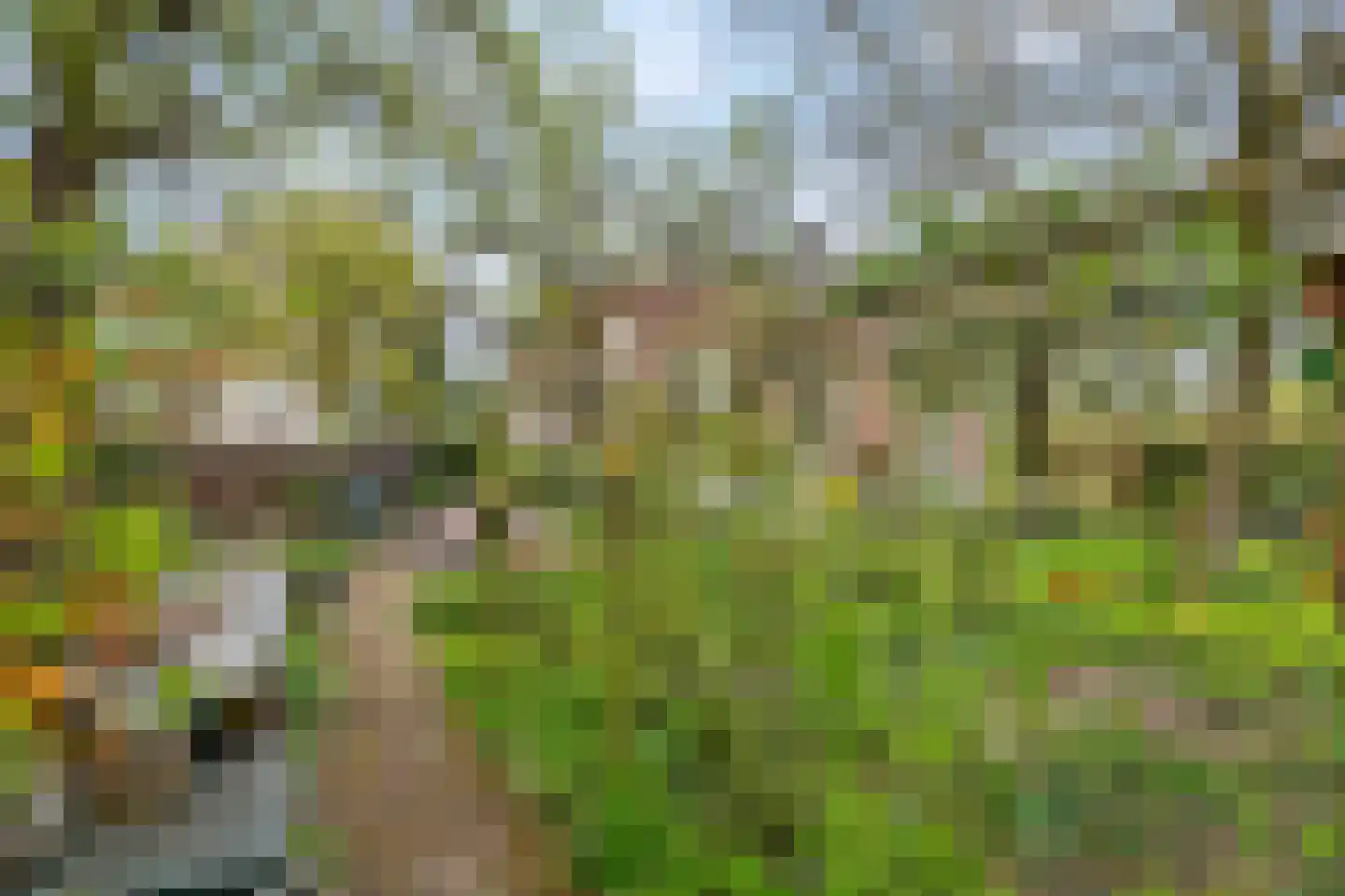 Uiterdijk 15 Zoelen thumbnail 20