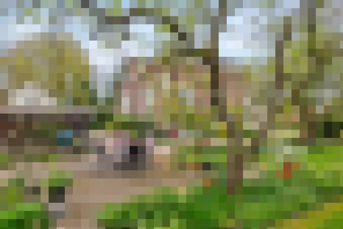 Uiterdijk 15 Zoelen thumbnail 21