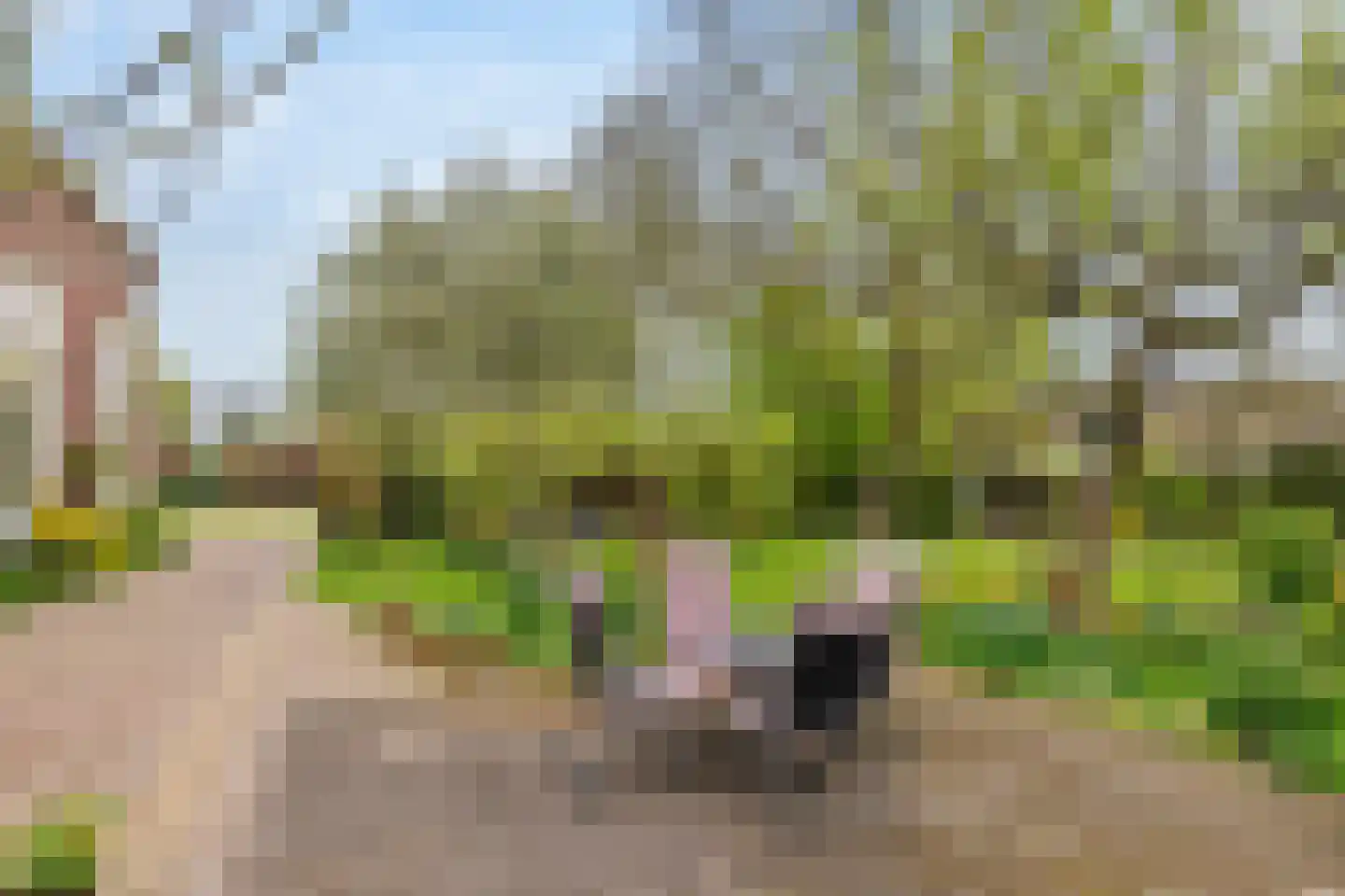 Uiterdijk 15 Zoelen thumbnail 22