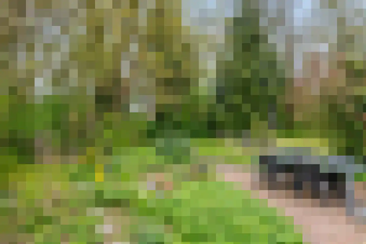 Uiterdijk 15 Zoelen thumbnail 28