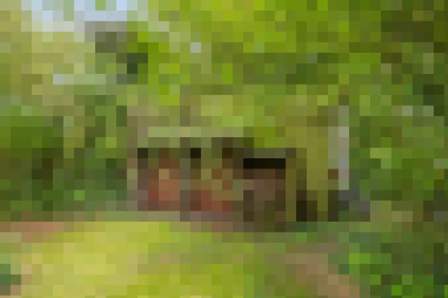 Uiterdijk 15 Zoelen thumbnail 32