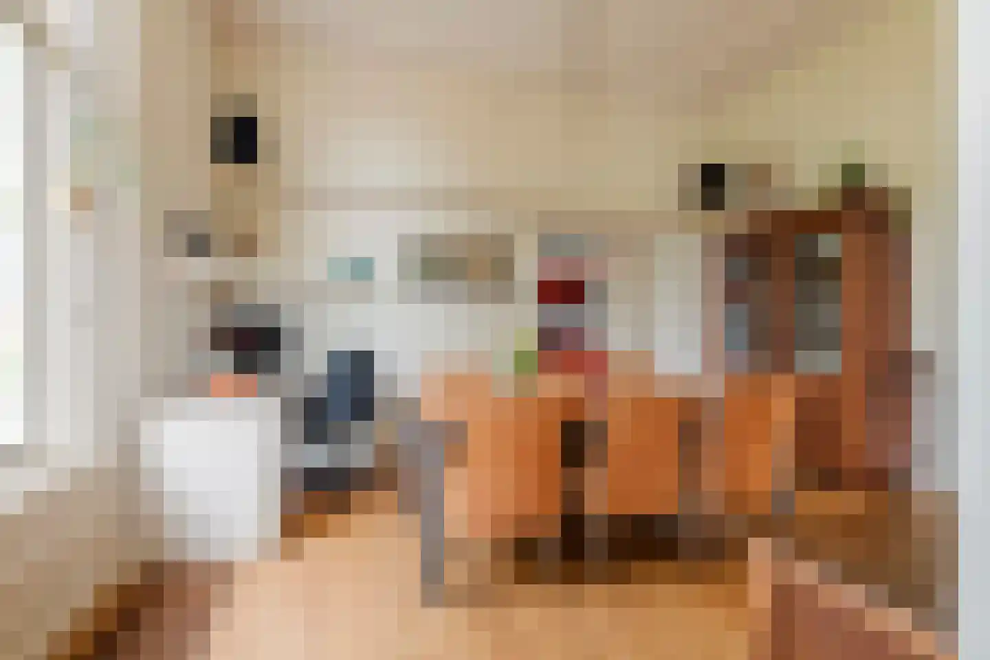 Uiterdijk 15 Zoelen thumbnail 45