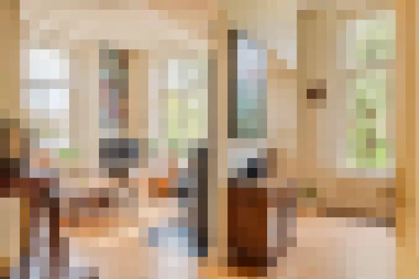 Uiterdijk 15 Zoelen thumbnail 52