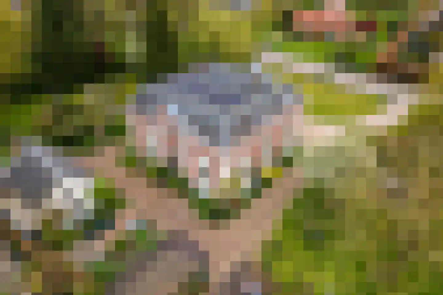 Uiterdijk 15 Zoelen thumbnail 7