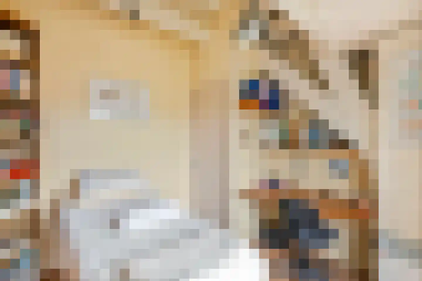 Uiterdijk 15 Zoelen thumbnail 72