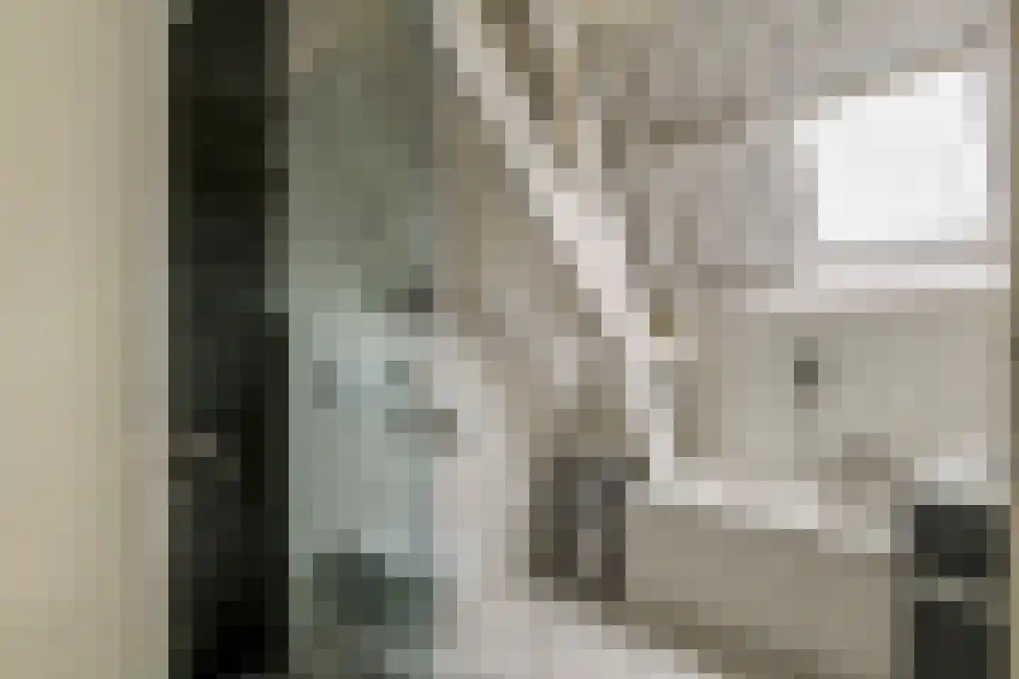 Uiterdijk 15 Zoelen thumbnail 73